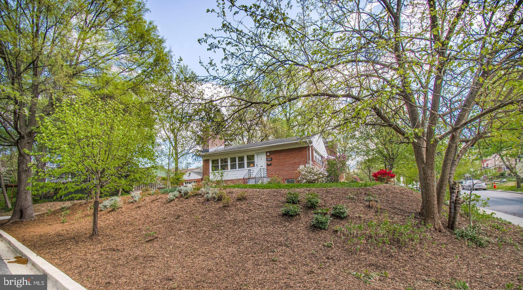 TAKOMA PARK - Residential