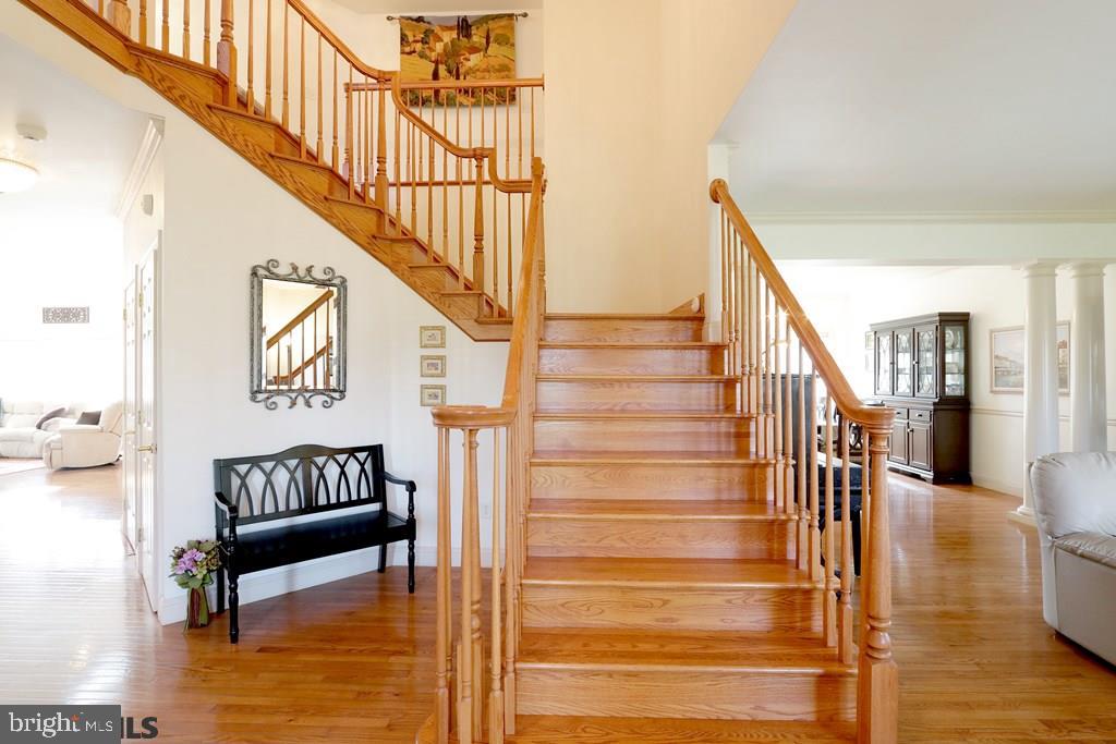 FERNE HOLLOW - Residential