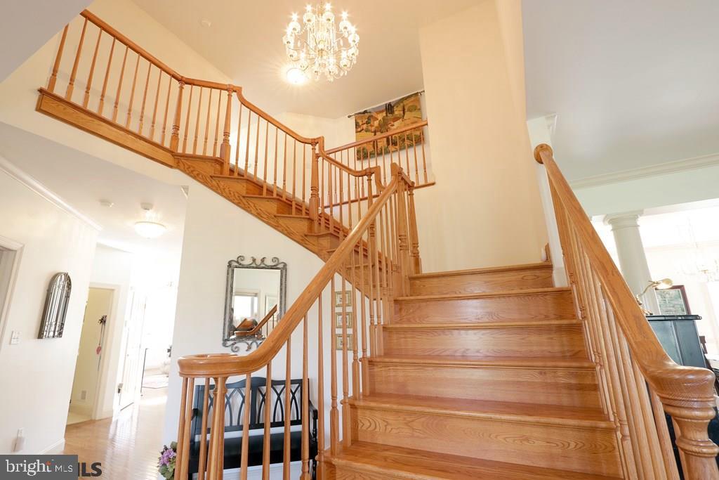 FERNE HOLLOW - Residential