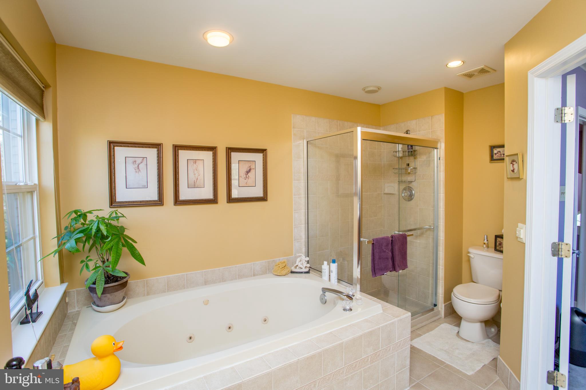 NORTH POINTE - Residential