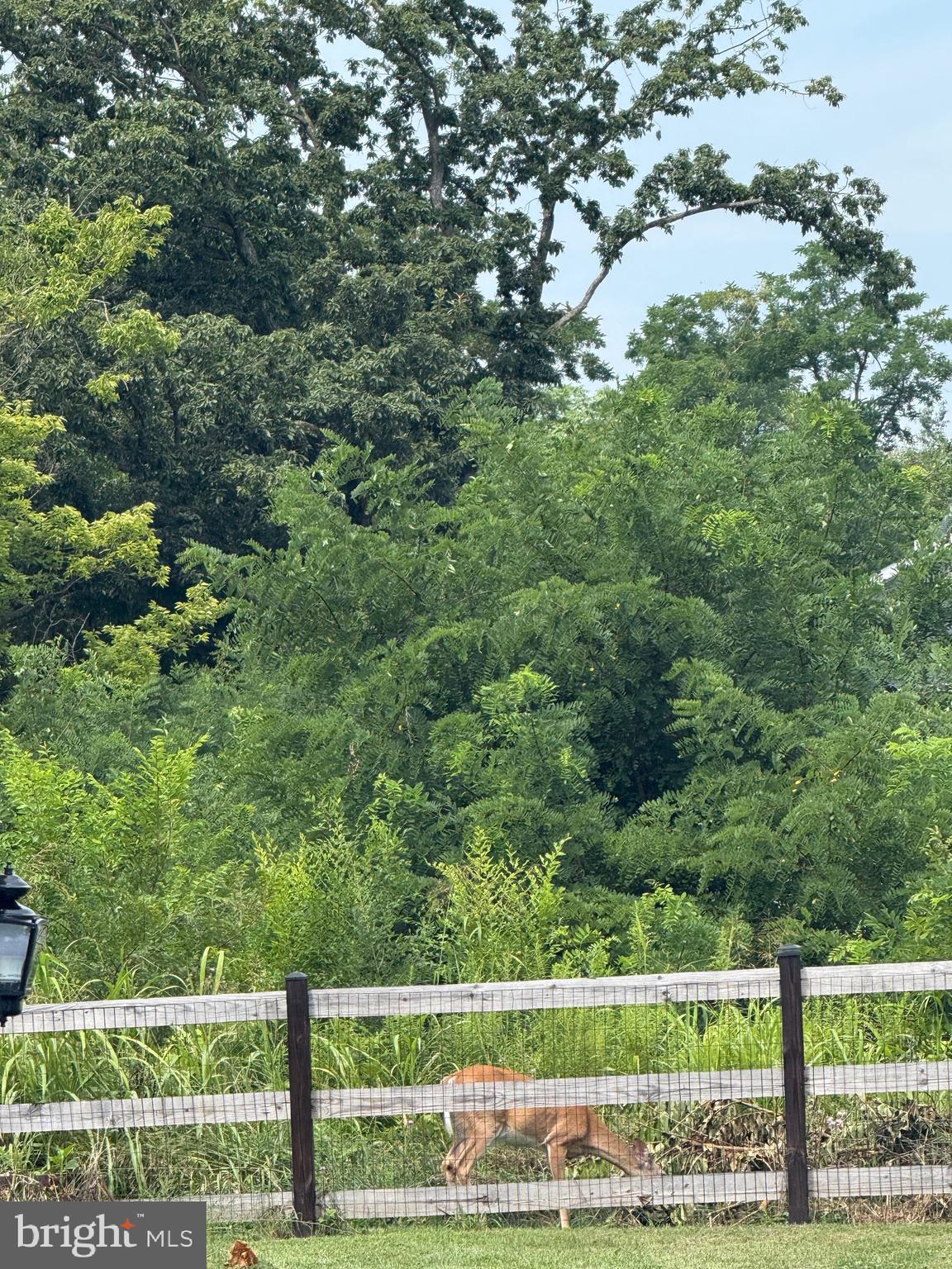 ELIZABETH STATION - Residential