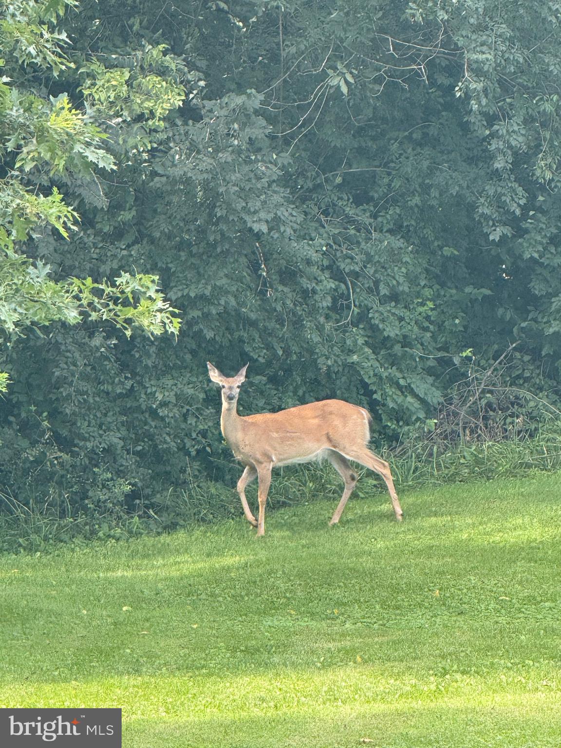 ELIZABETH STATION - Residential