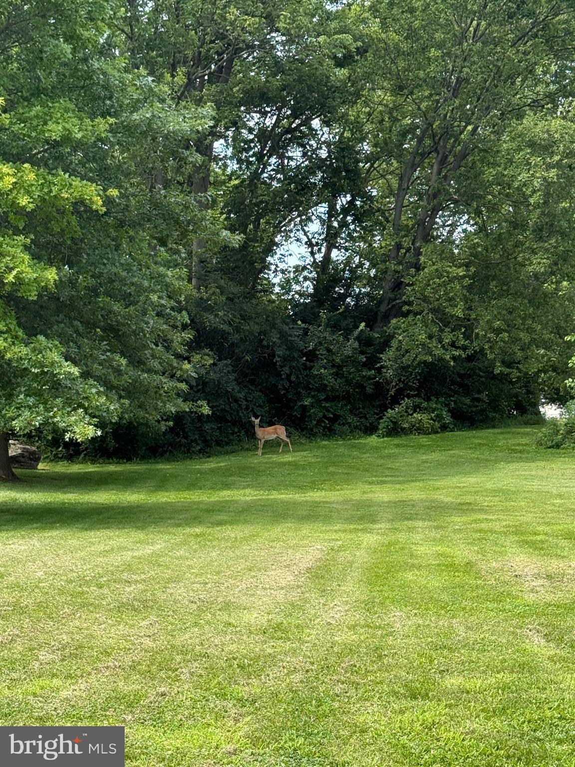 ELIZABETH STATION - Residential