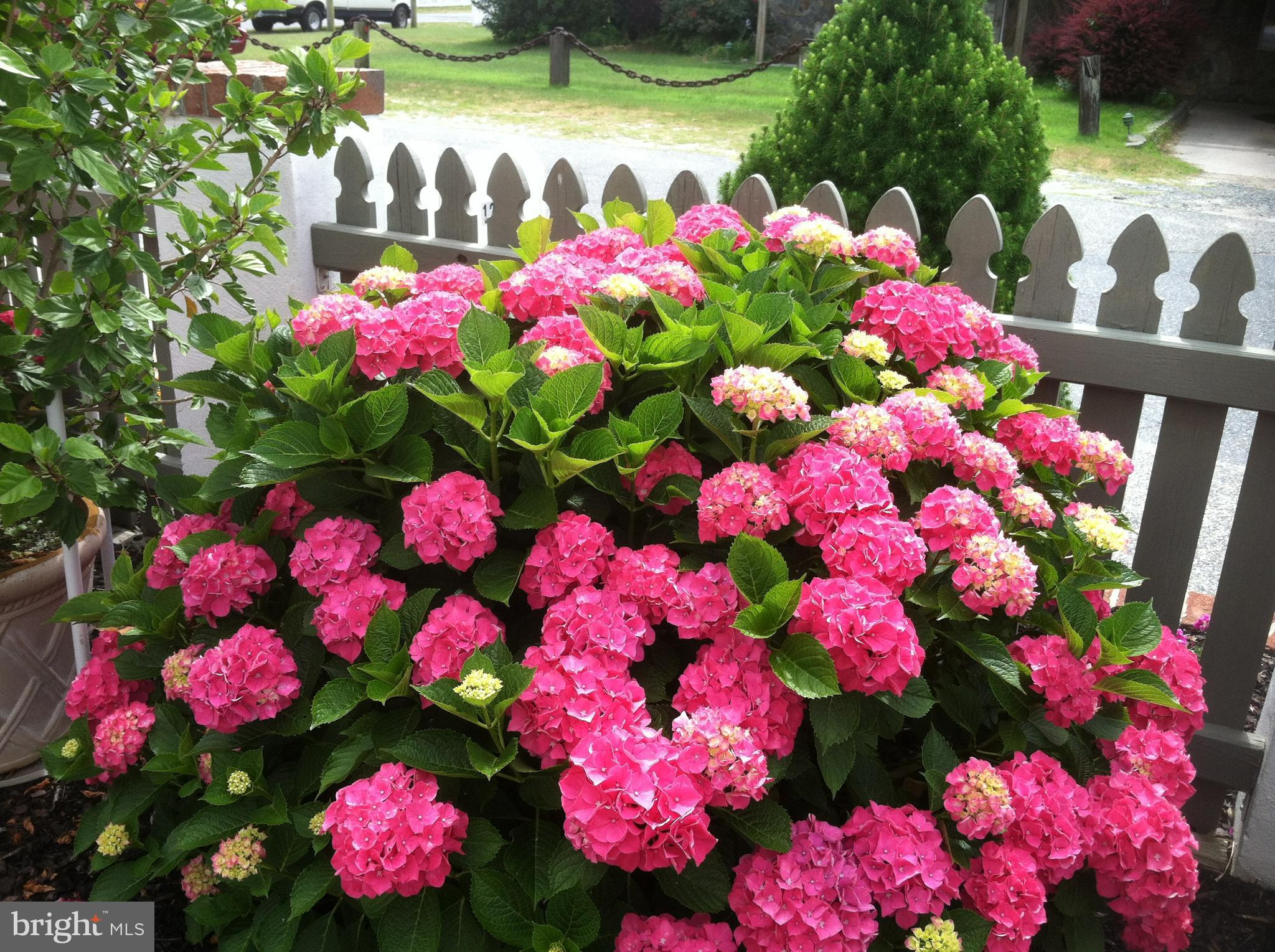 OCEAN CITY HARBOR - Residential