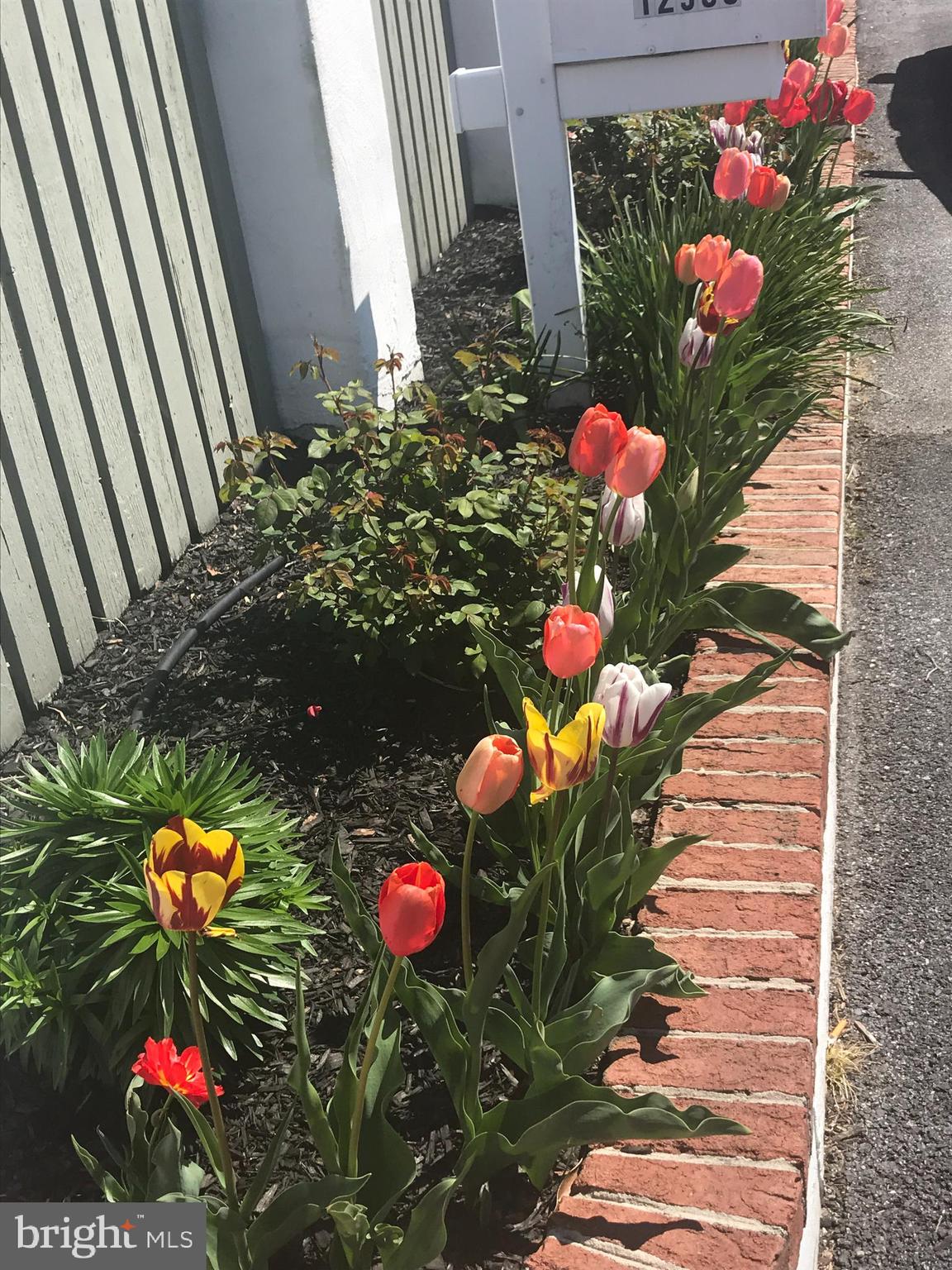OCEAN CITY HARBOR - Residential