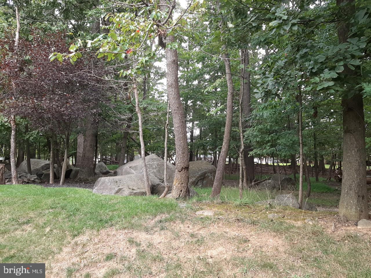 ELLICOTT MILLS - Residential