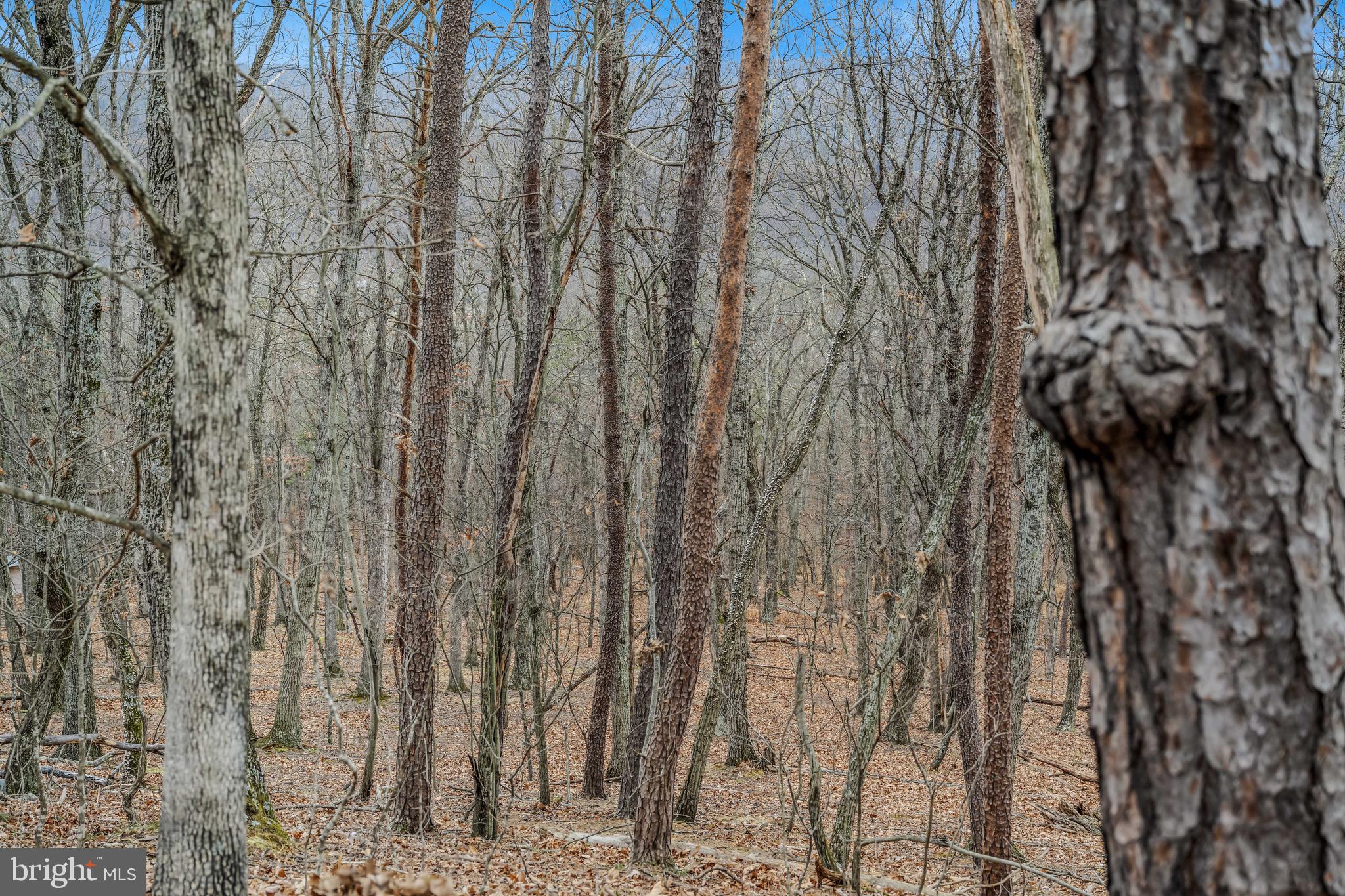 CACAPON RIDGE - Residential