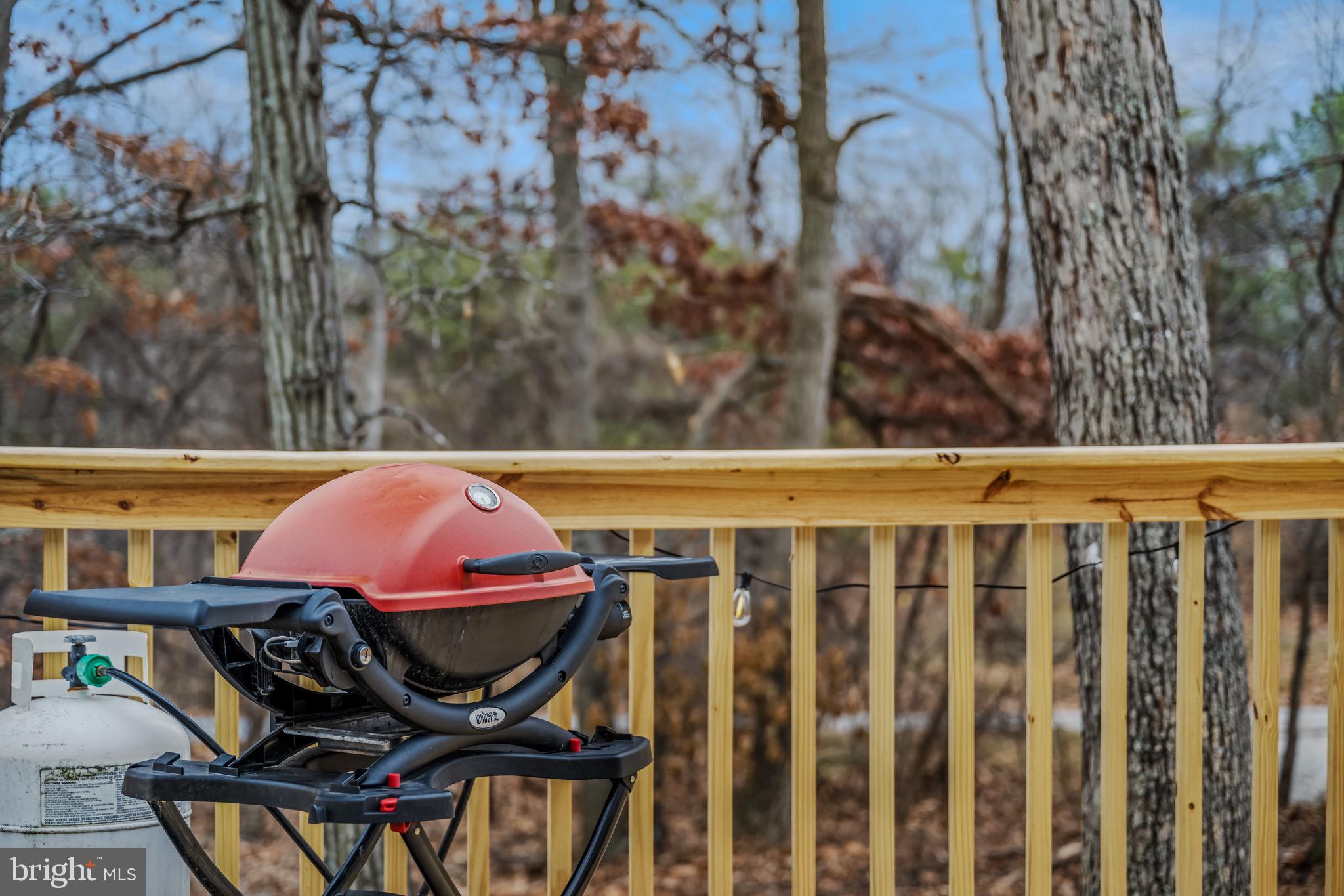 CACAPON RIDGE - Residential