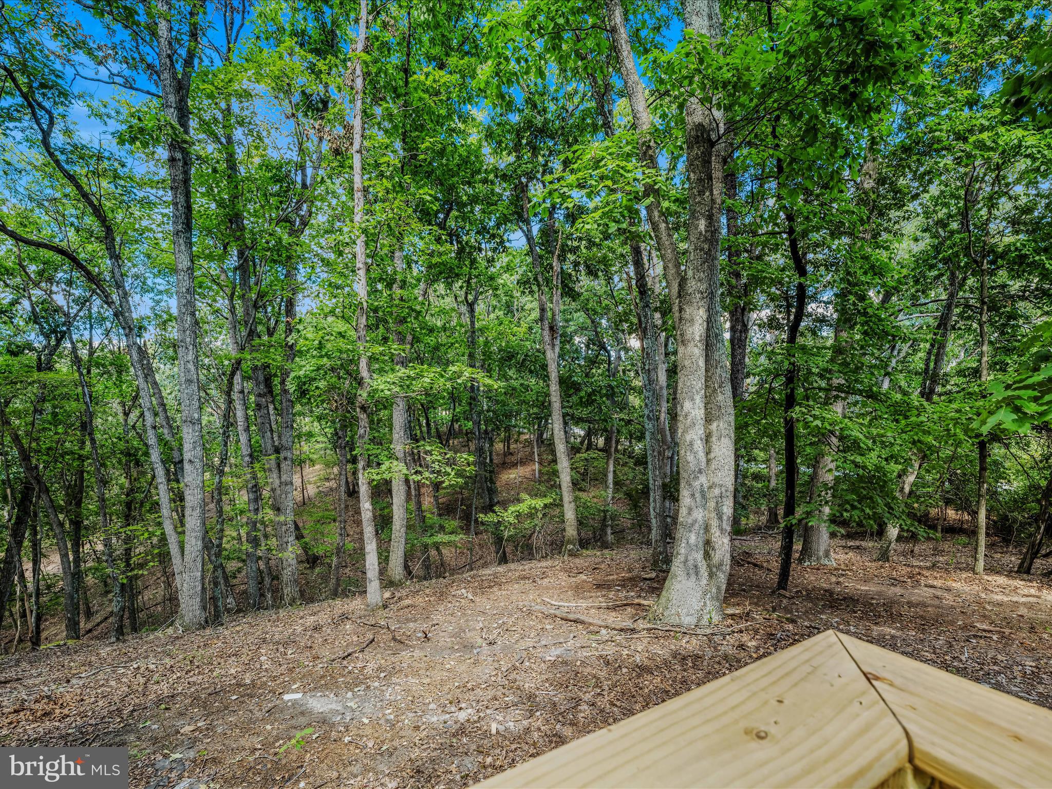 CACAPON RIDGE - Residential