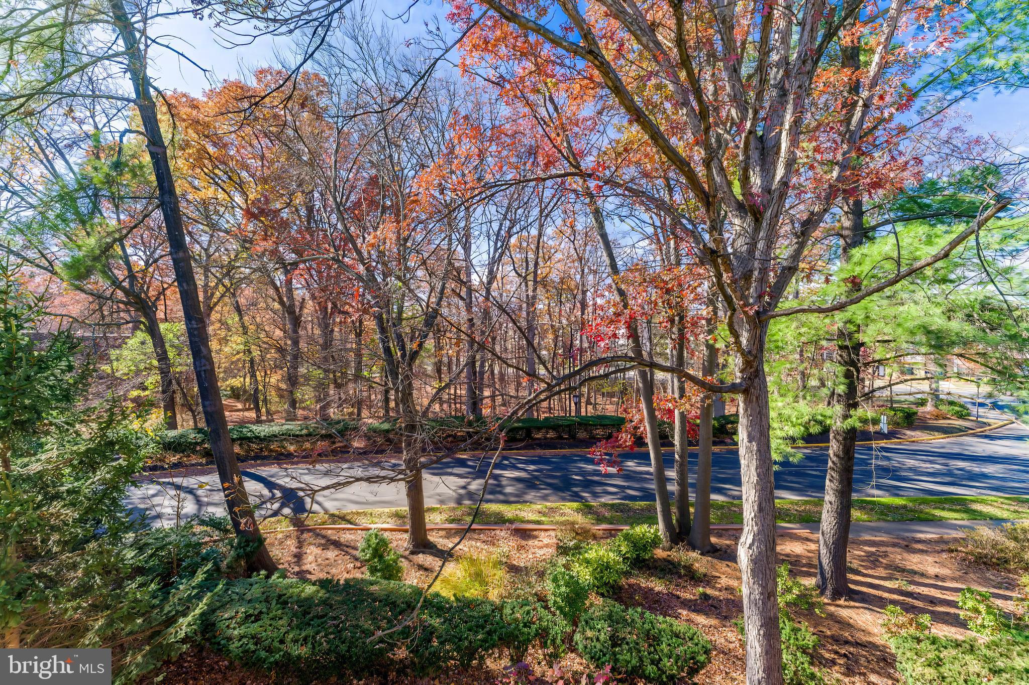 BENTANA PARK - Residential