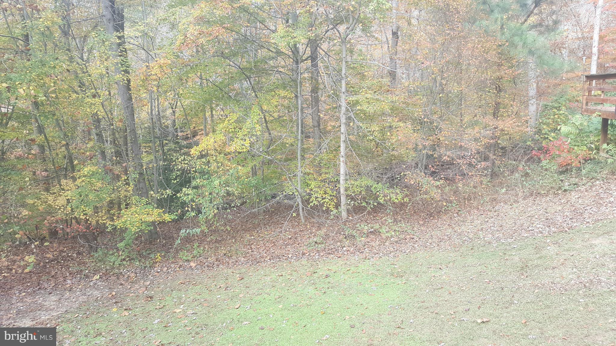 GOLDEN BEACH - Residential