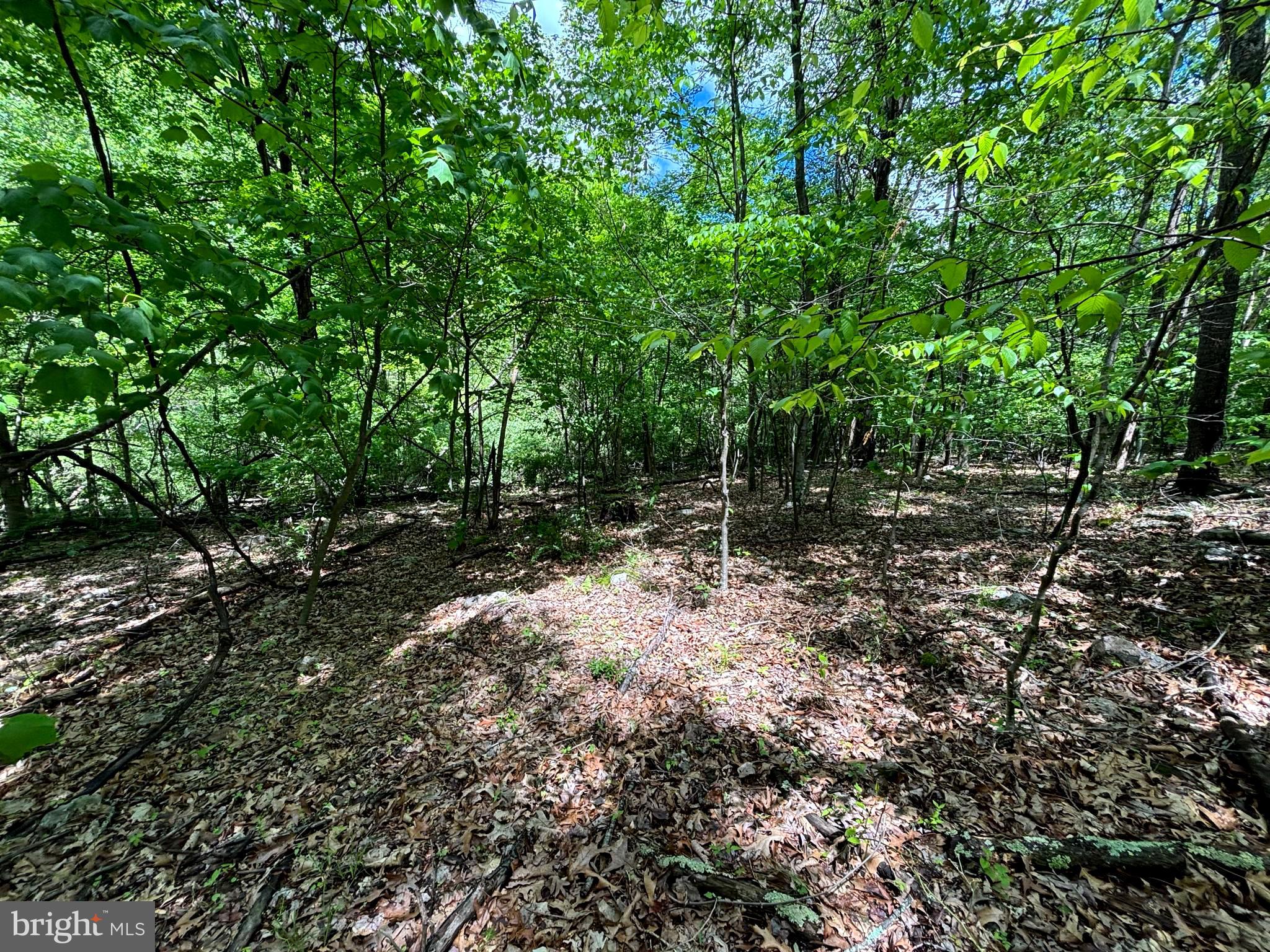 NEW CREEK HIGHLANDS - Land