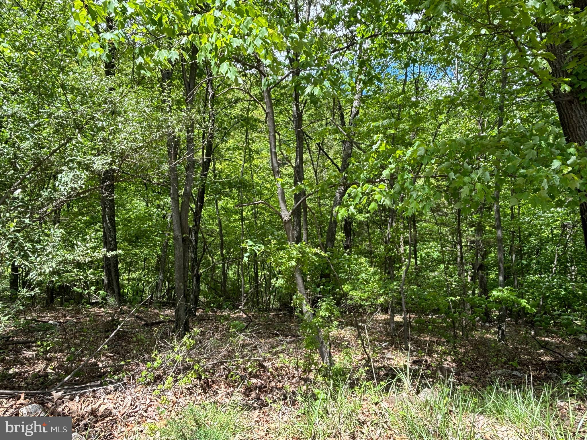 NEW CREEK HIGHLANDS - Land