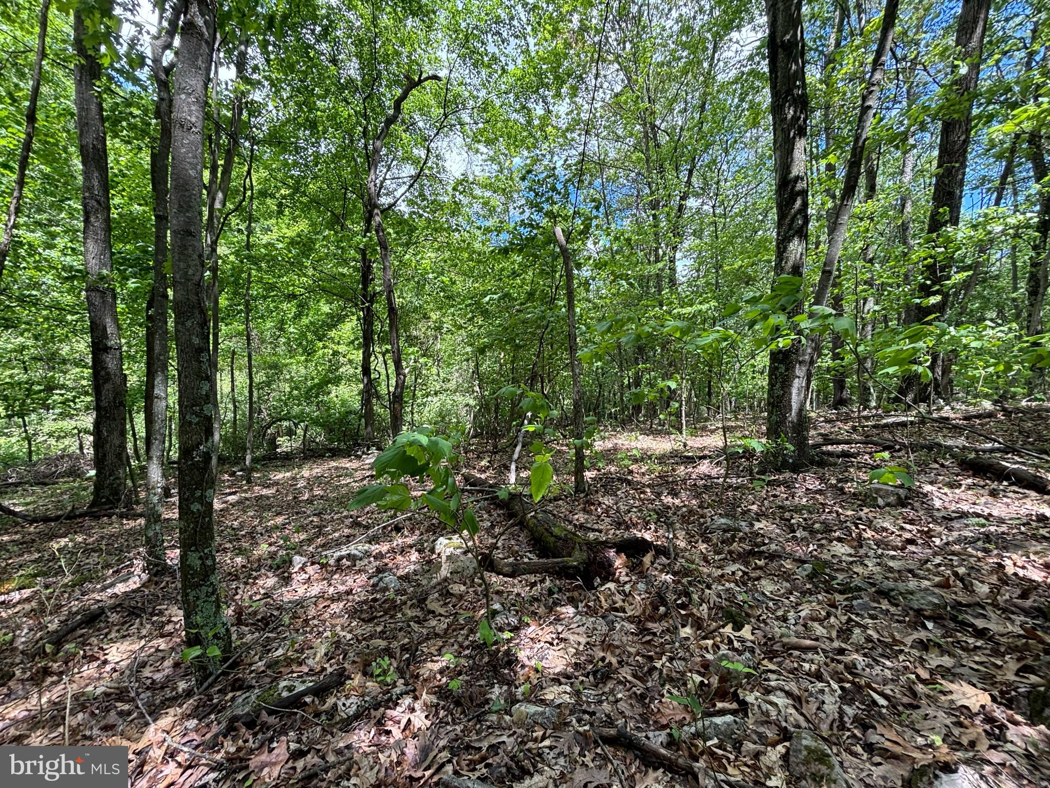 NEW CREEK HIGHLANDS - Land