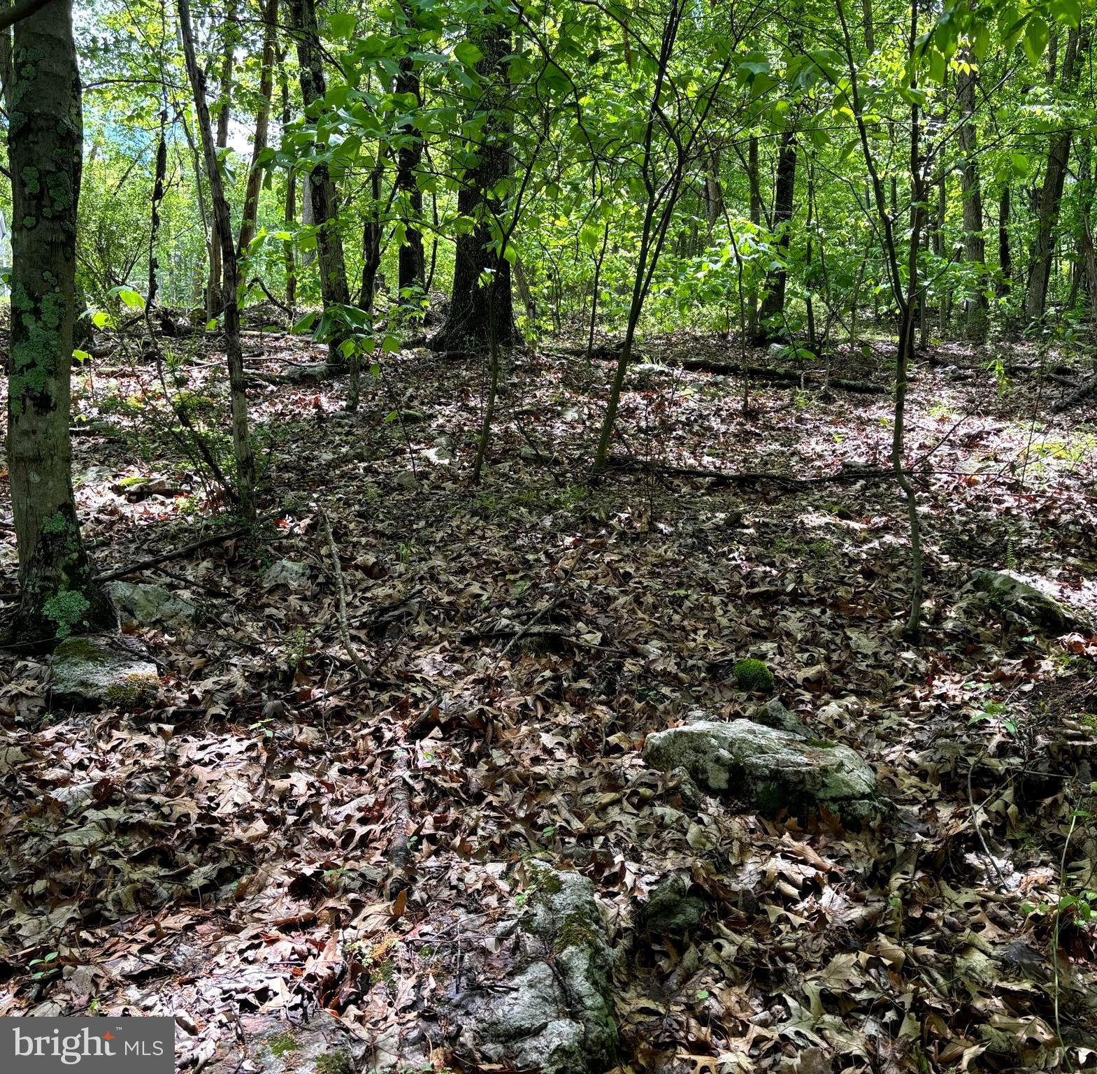 NEW CREEK HIGHLANDS - Land