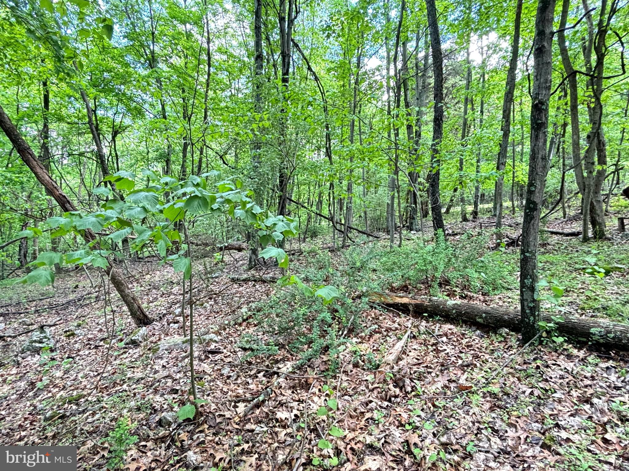 NEW CREEK HIGHLANDS - Land