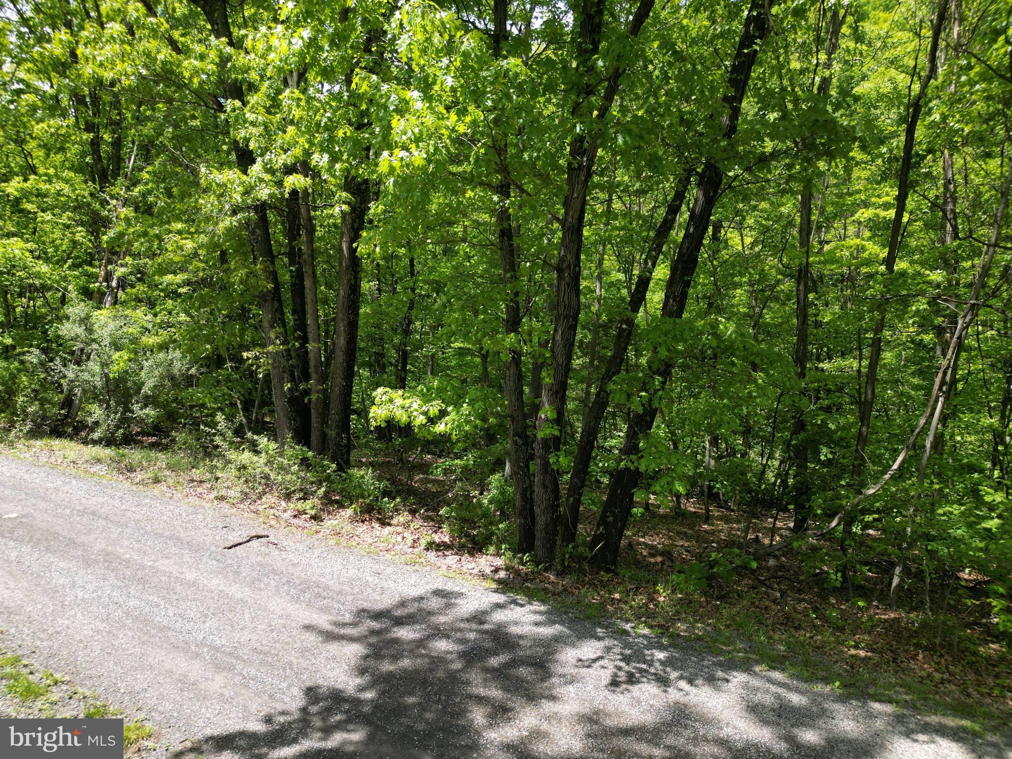 NEW CREEK HIGHLANDS - Land