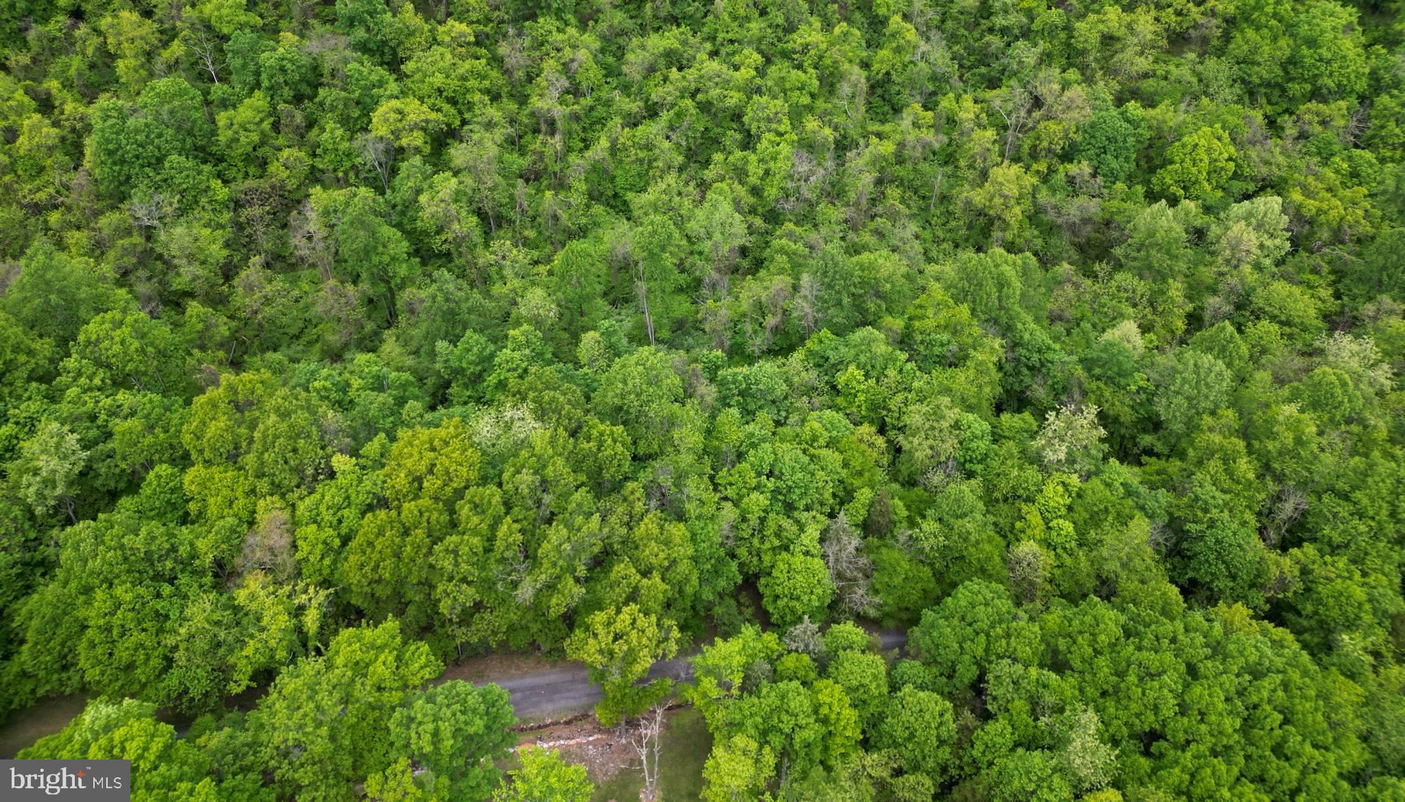 NEW CREEK HIGHLANDS - Land