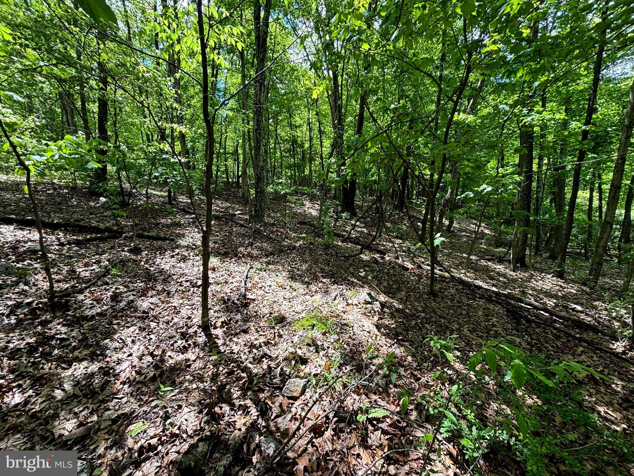 NEW CREEK HIGHLANDS - Land