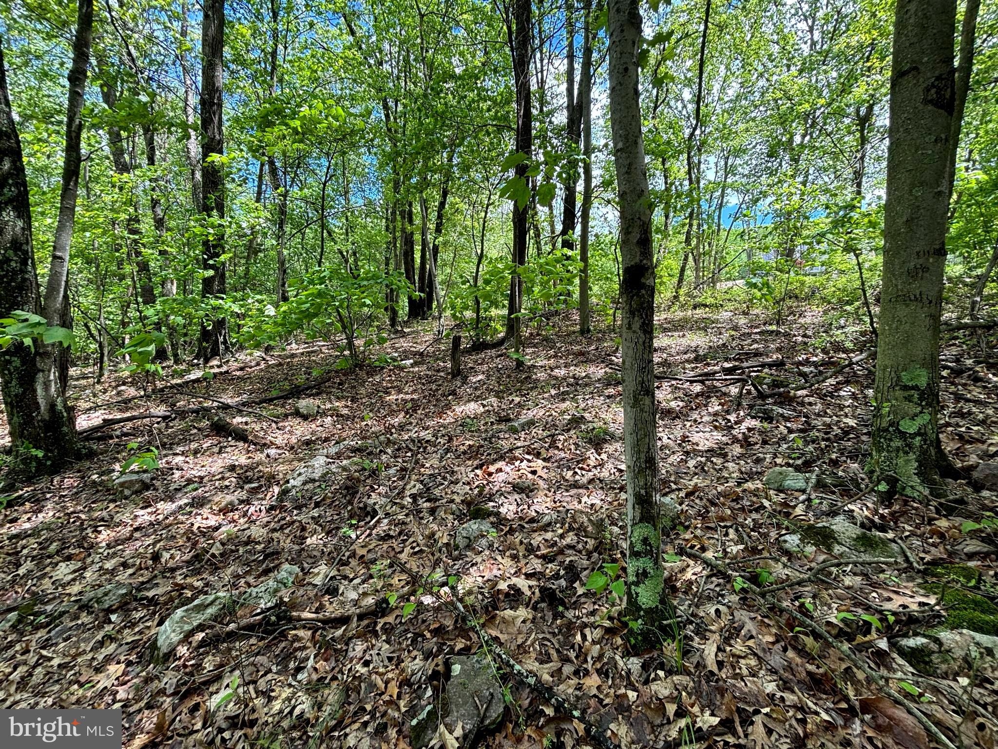 NEW CREEK HIGHLANDS - Land