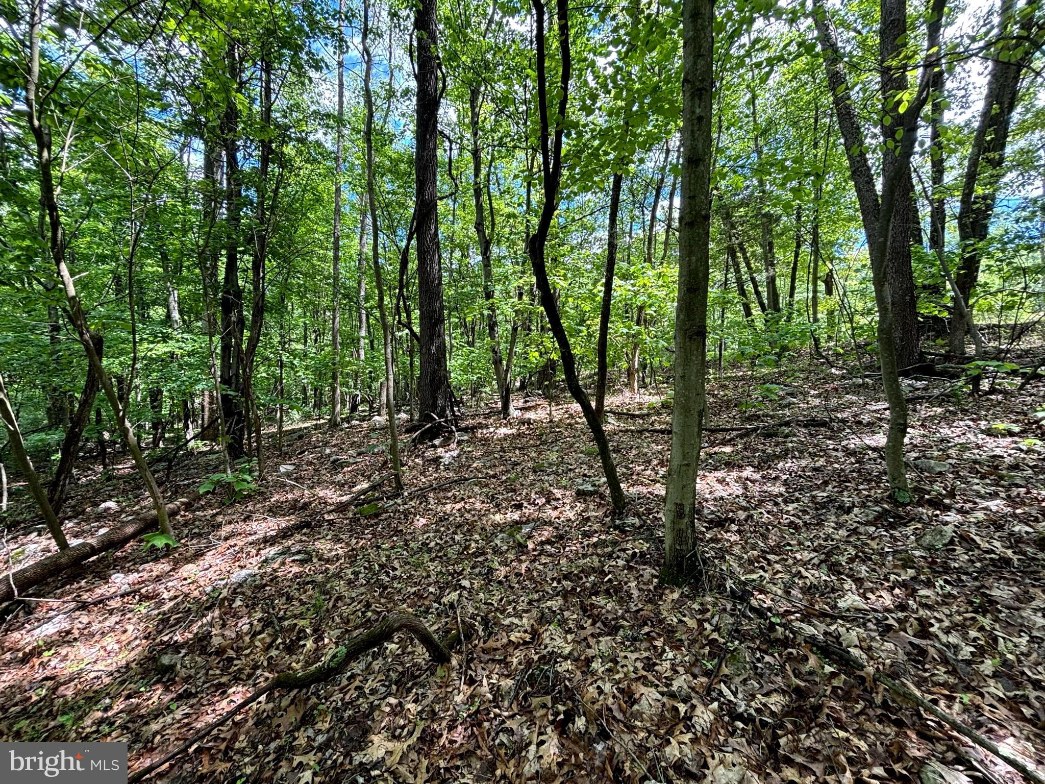 NEW CREEK HIGHLANDS - Land