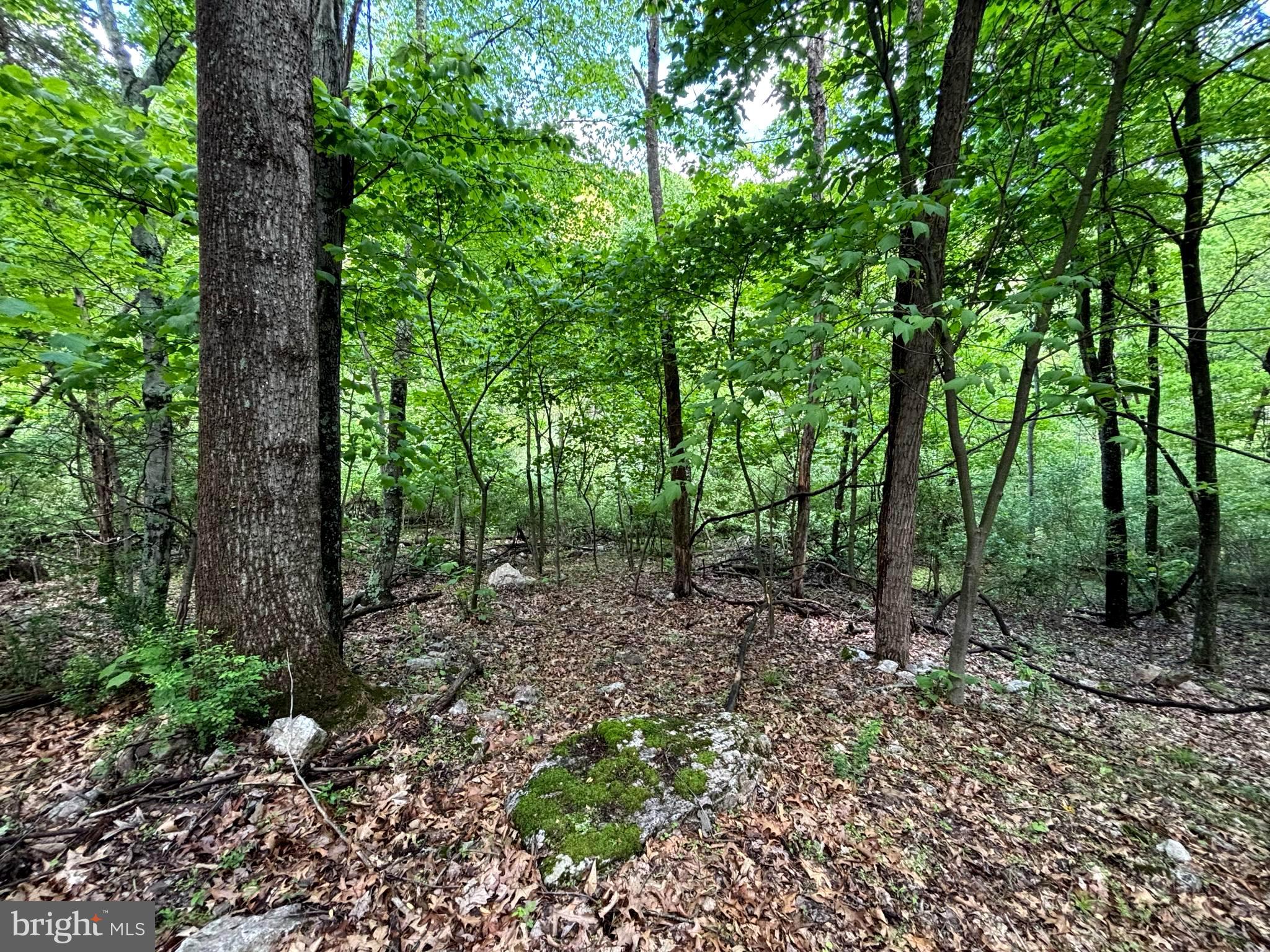 NEW CREEK HIGHLANDS - Land