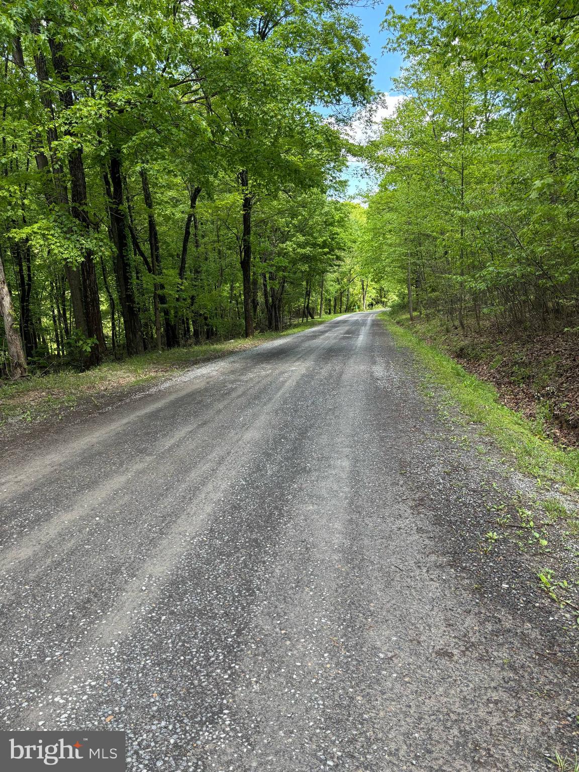 NEW CREEK HIGHLANDS - Land