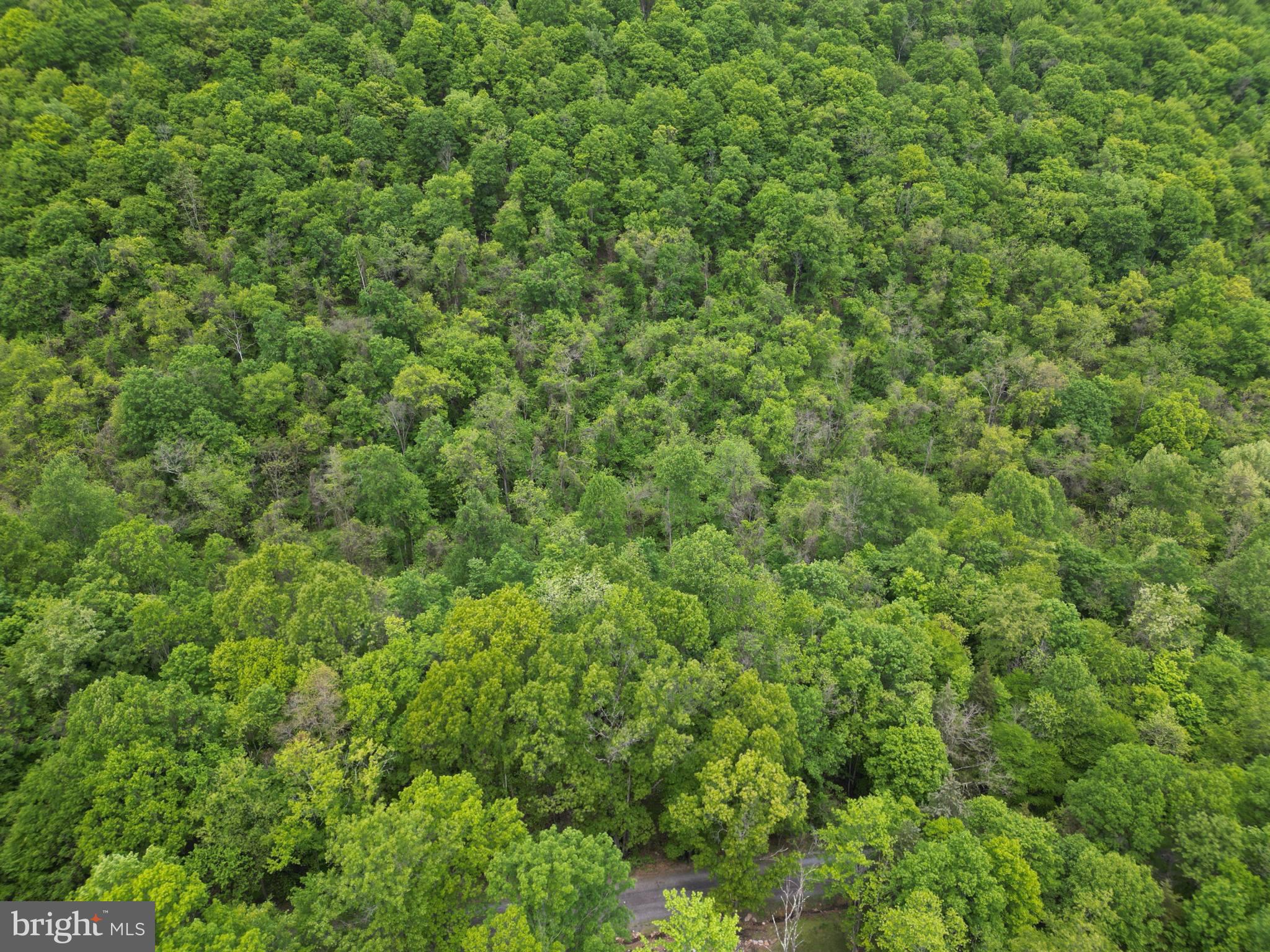 NEW CREEK HIGHLANDS - Land