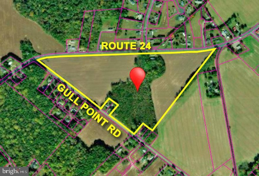 DEVELOPMENT POTENTIAL!   This 39.5+/- Acre parcel (Tax Map Parcel #234-28.00-172.00) has road frontage on Route 24 Eastbound and Gull Point Rd.  This property is only 0.6+/- miles from the Gull Point Public Boat Ramp! It is in Sewer district and public water tie in is available through Tidewater Utilities Franchise. Partially cleared & partially wooded.  Tillable land is currently leased to a farmer on a yearly basis.  Abandoned derelict buildings may contain asbestos. Also available is another 35.96+/- Acre parcel  (MLS# DESU184862 - Tax Map Parcel #24-29.00-9.00) that is approximately 1200 feet to the East of this parcel on the westbound lane.