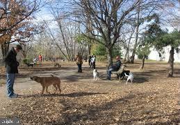 DOUGLAS PARK - Residential Lease