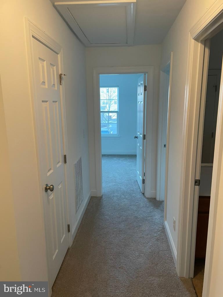 CATTAIL CROSSING - Residential