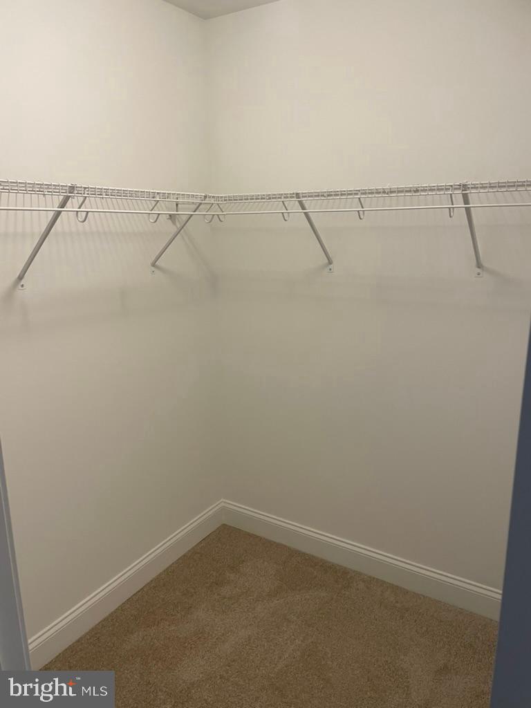 CATTAIL CROSSING - Residential