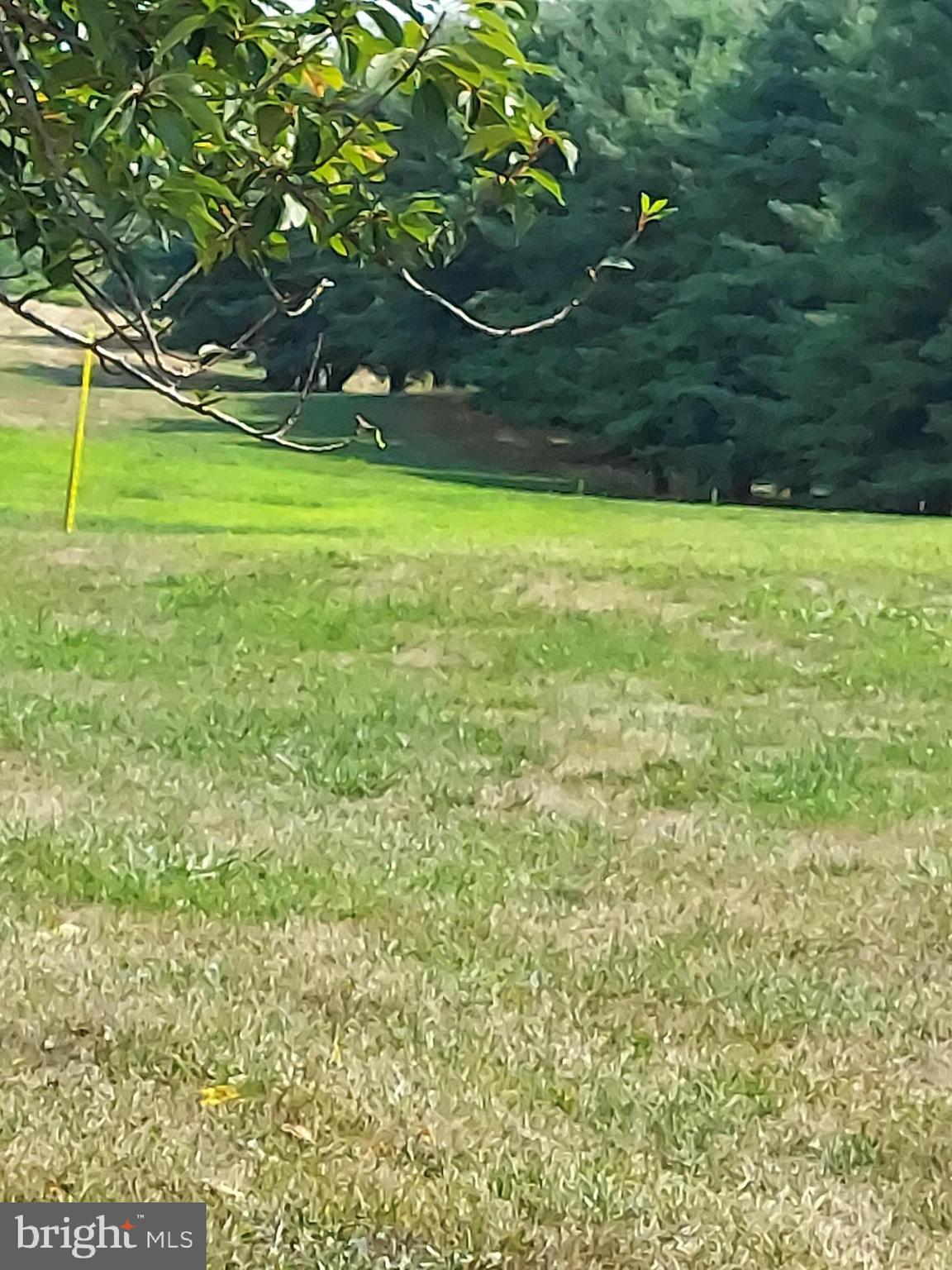 BOWLING VIEW LOT 46E