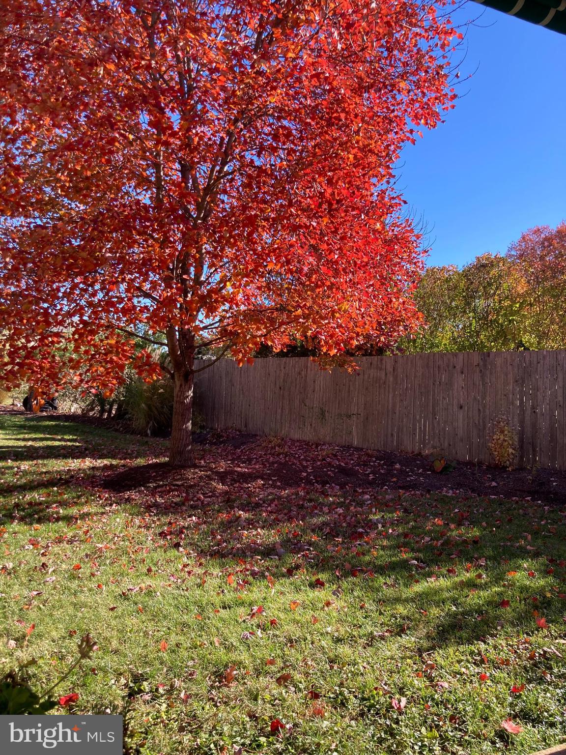 LEXINGTON FARMS - Residential