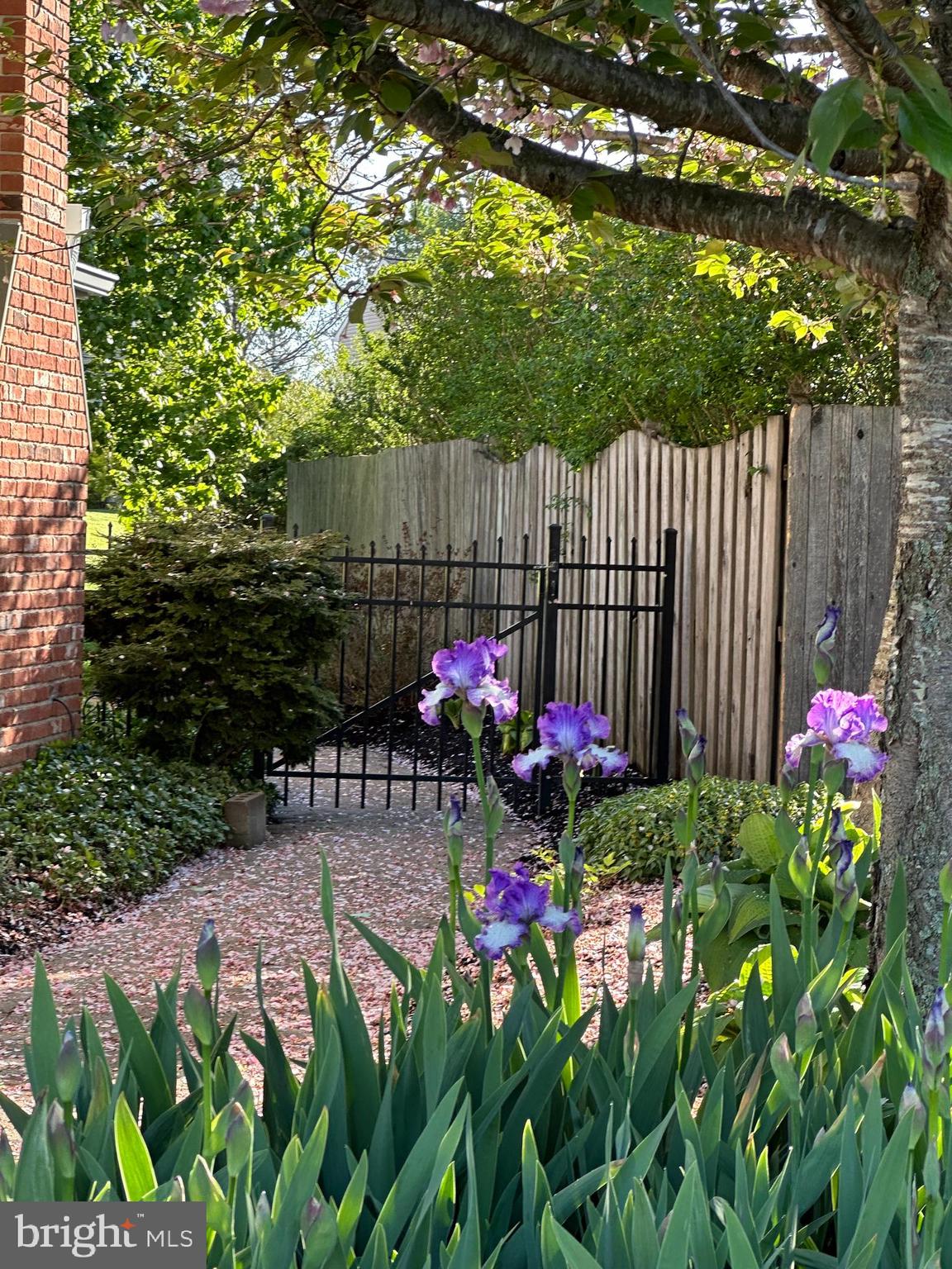 LEXINGTON FARMS - Residential
