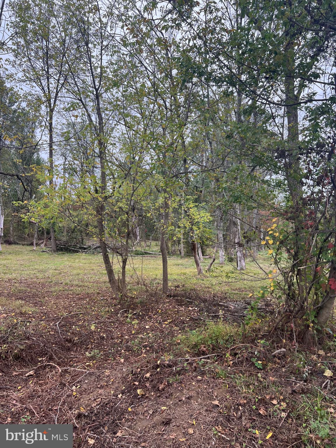 Over 6 Acre Building lot in Chester Springs. Perc and storm water approved Building envelope is large and offers many options. Connection to Horse trails. Pick your builder or we can Provide our Custom Builder BJ Homesto Build your dream home. Enough space for a barn or pool. The options are endless for this private oasis in the heart of Chester Springs.
