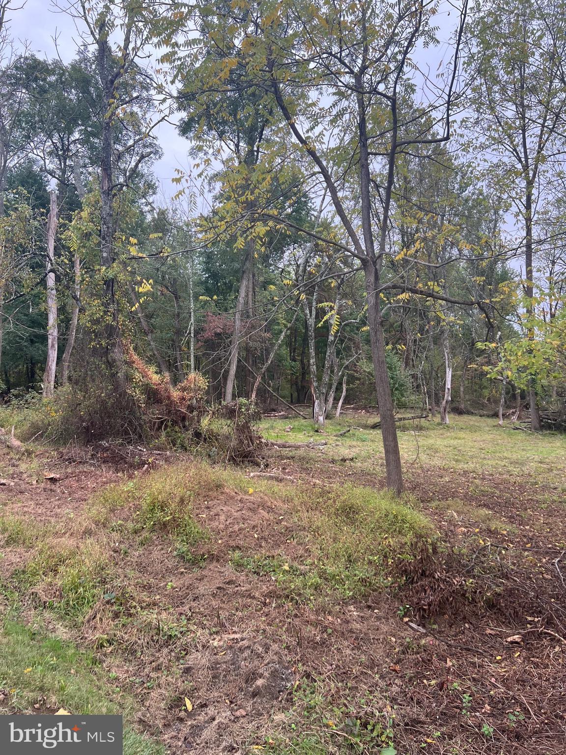 2400 HORSESHOE TRAIL