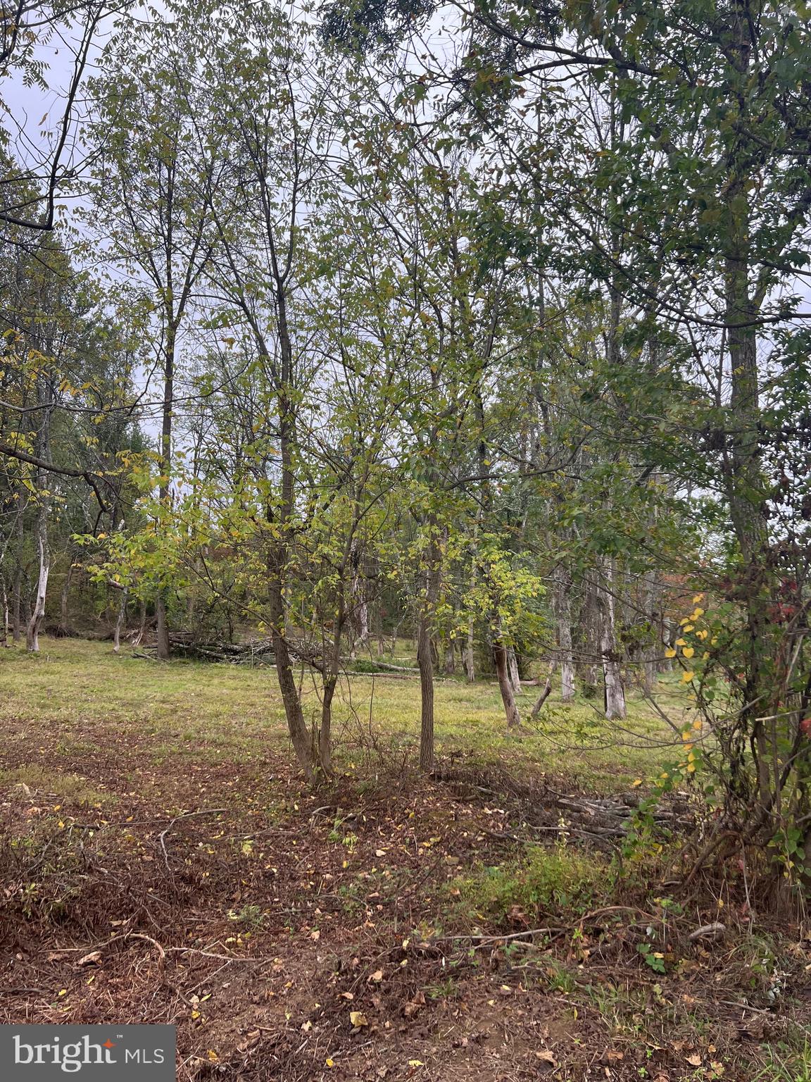 2400 HORSESHOE TRAIL