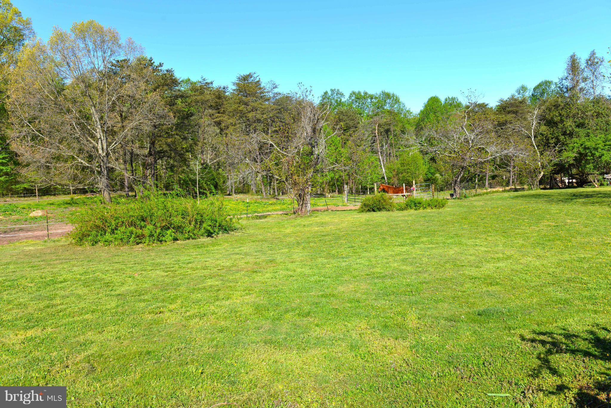 NONE AVAILABLE - Farm