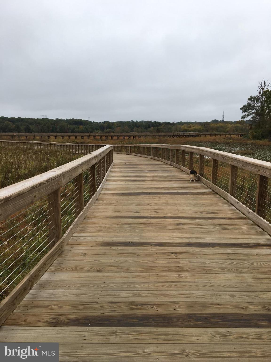 RIPPON LANDING - Residential