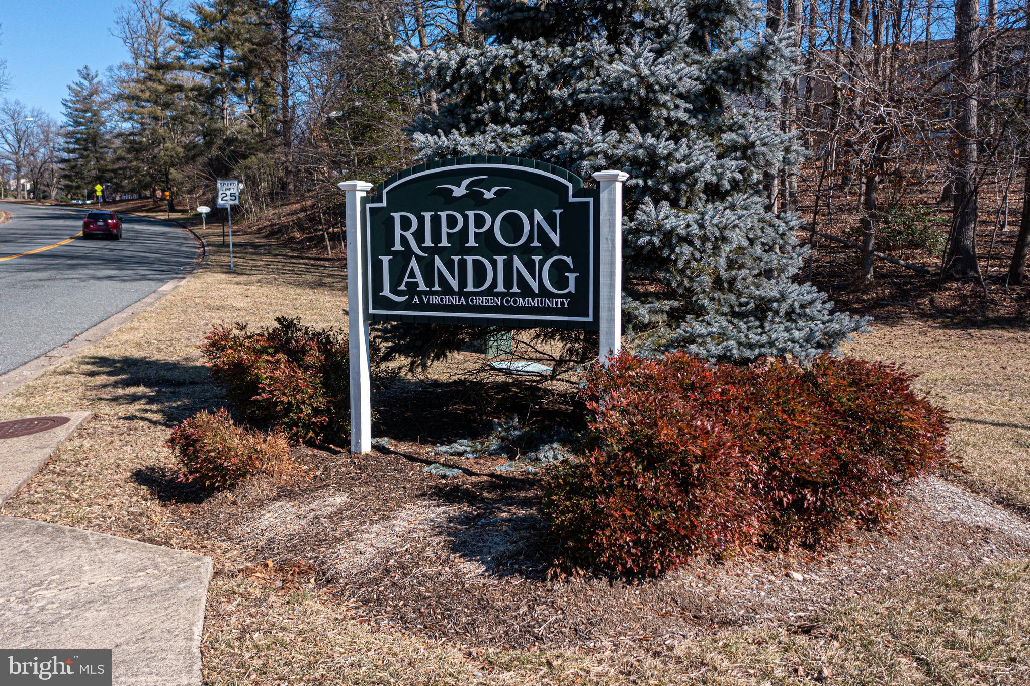 RIPPON LANDING - Residential