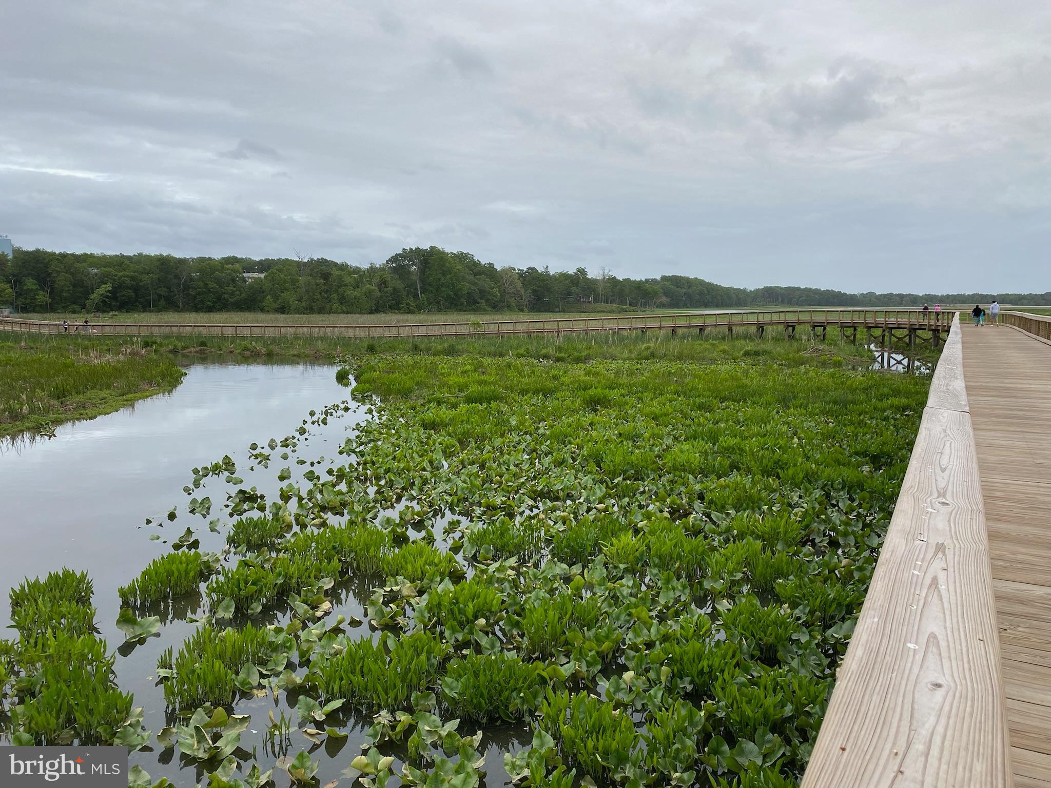RIPPON LANDING - Residential