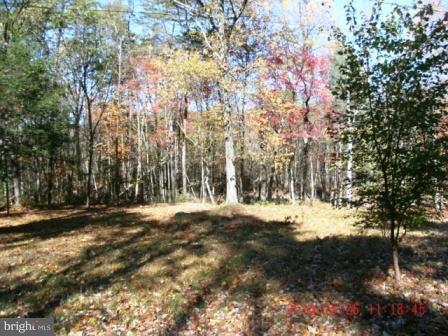 SPRUCE PINE HOLLOW - Residential