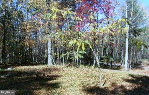 SPRUCE PINE HOLLOW - Residential