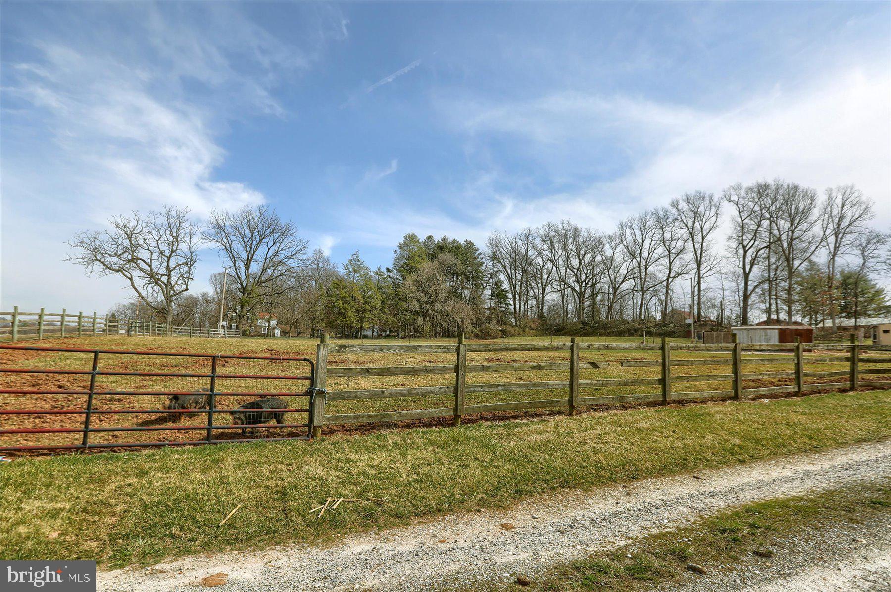 NONE AVAILABLE - Farm