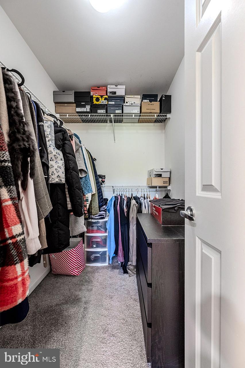 BELMONT GREENE - Residential