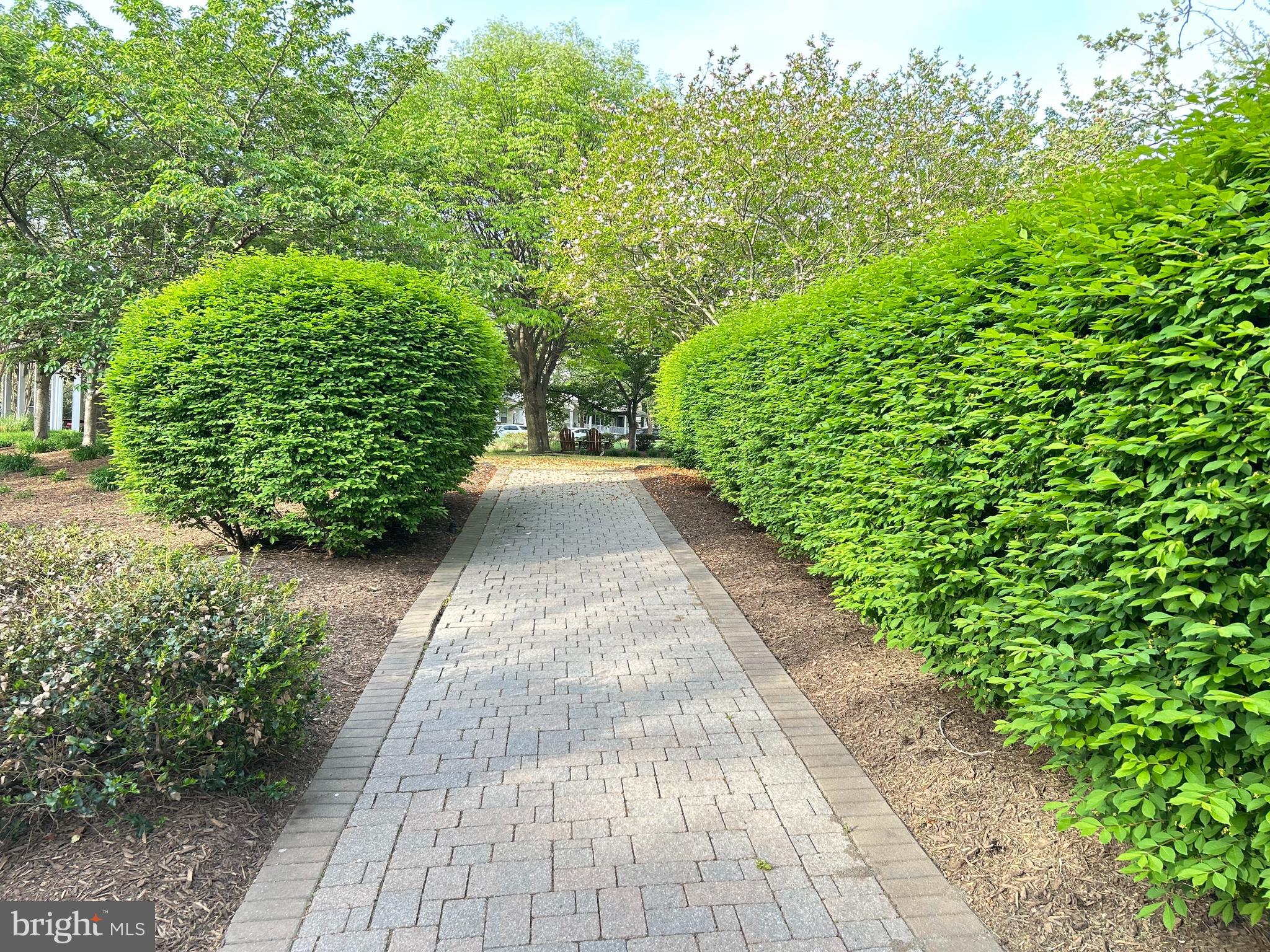 BELMONT GREENE - Residential