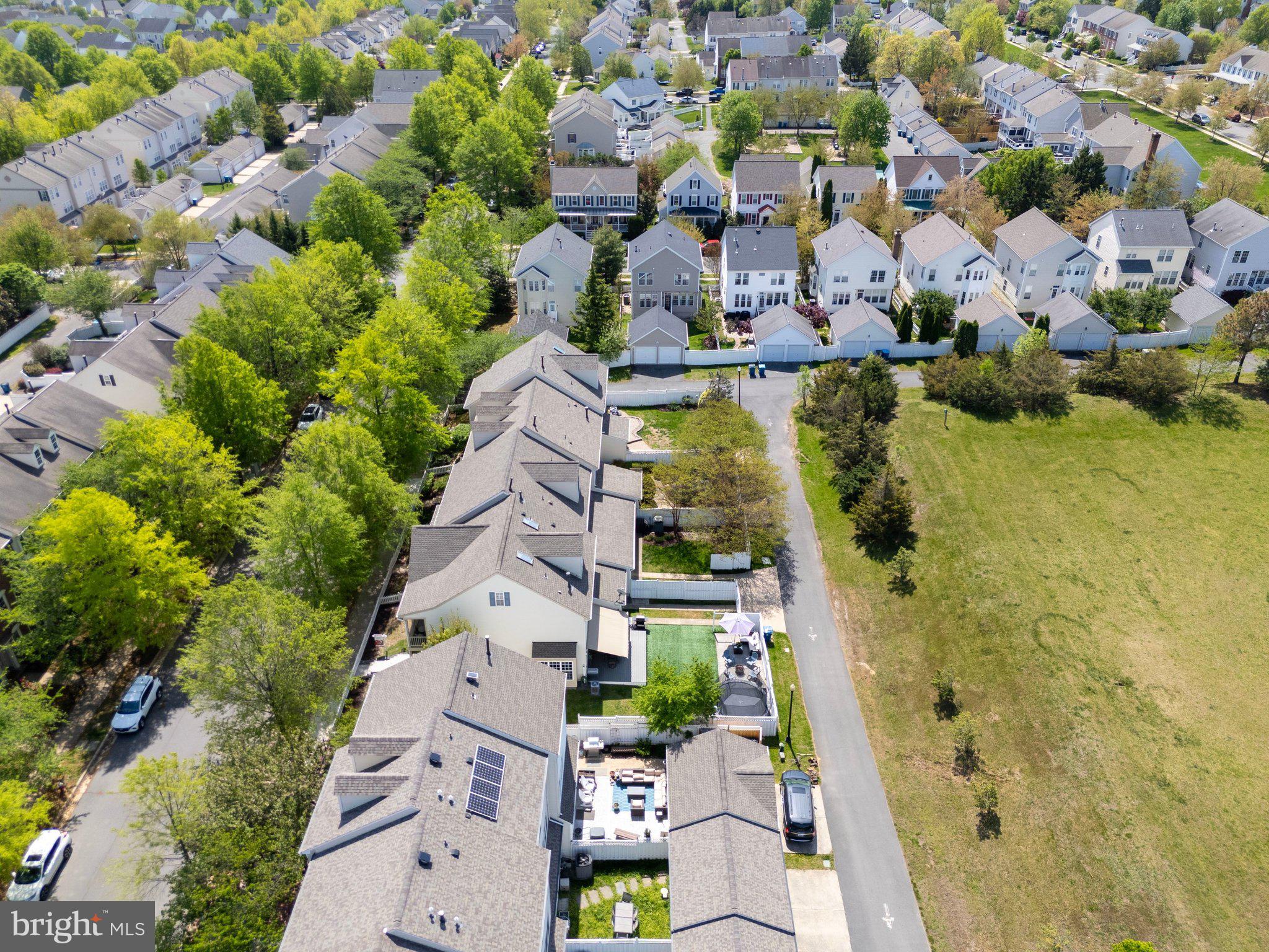 BELMONT GREENE - Residential