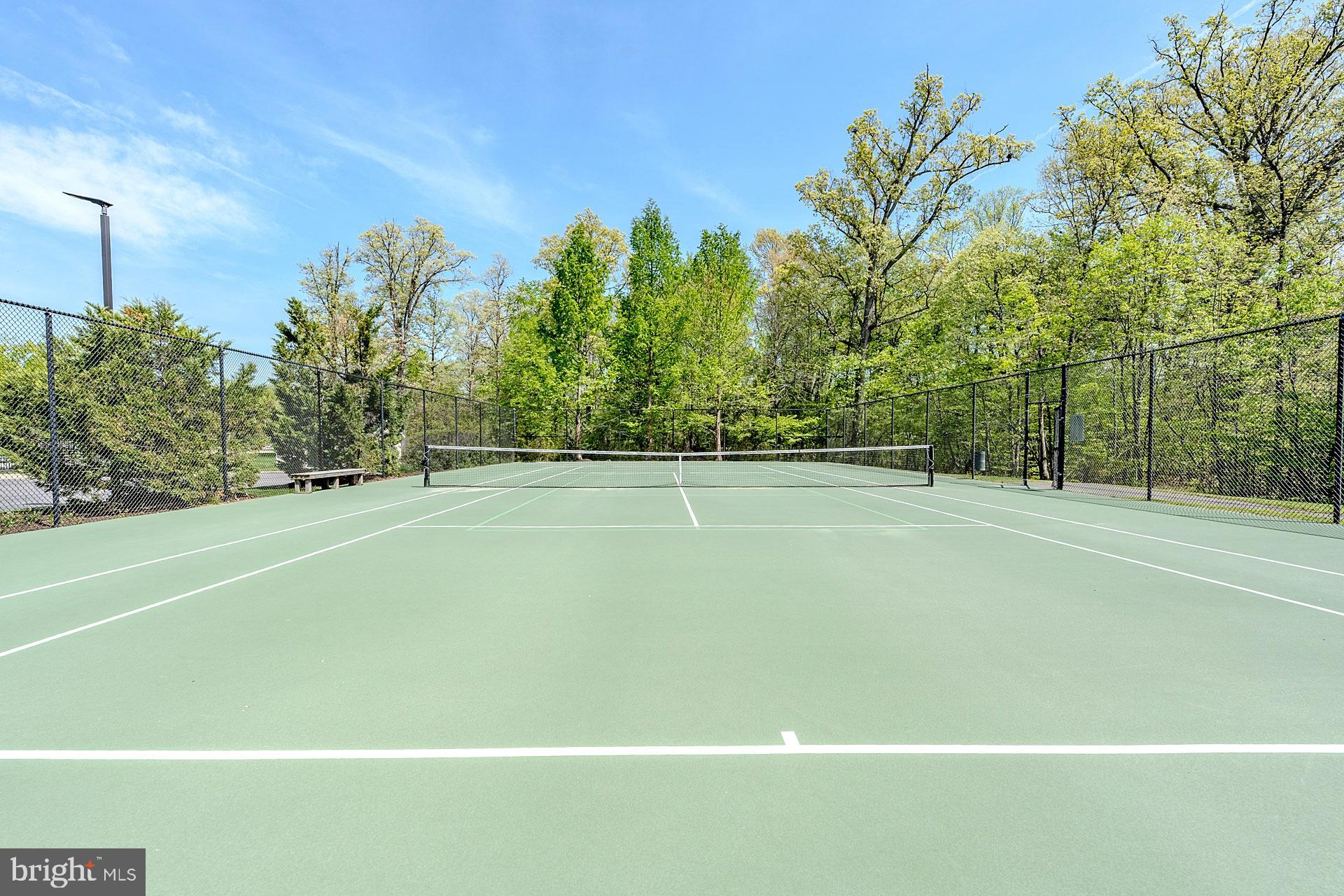 BELMONT GREENE - Residential