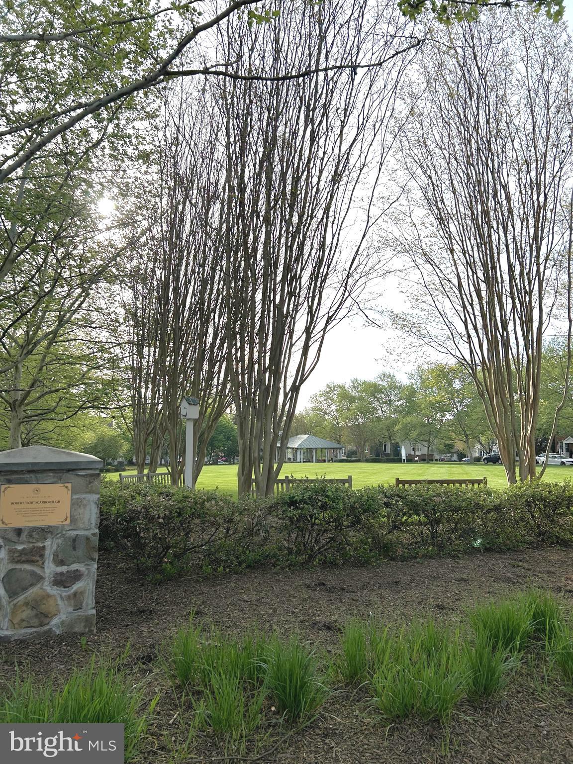 BELMONT GREENE - Residential